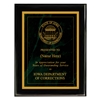 Value Black Piano Finish Plaque 7"X9" 